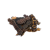 Shikakai